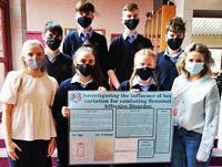 BD Stems sml