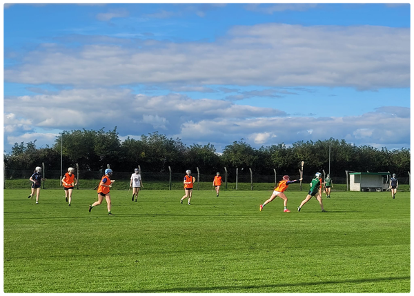 Camogie Training