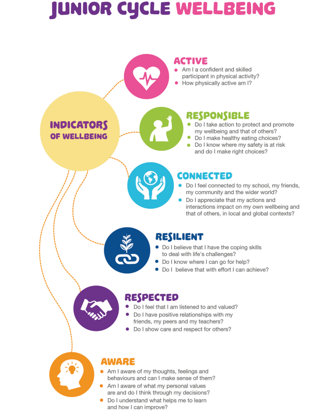 Wellbeing Indicators Poster