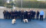 Dogs