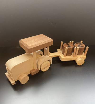 JnrCertWoodProjects 23