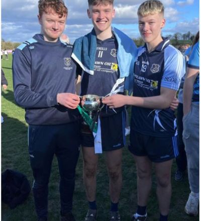 all ire hurling champs