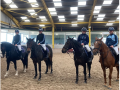 sp equestrian