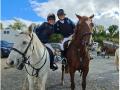 sp equestrian