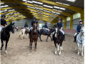 sp equestrian