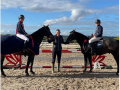 sp equestrian