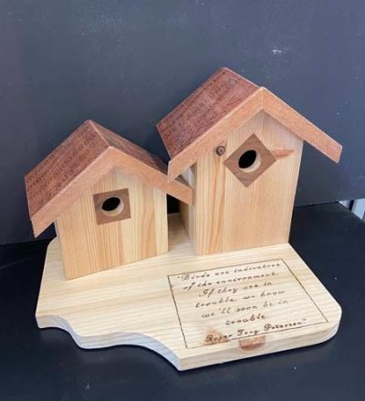 photo 24 04 2023  14 03